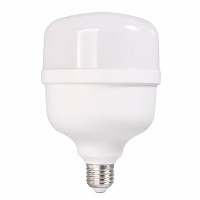 Bombillo Led Eco Power 30W E27