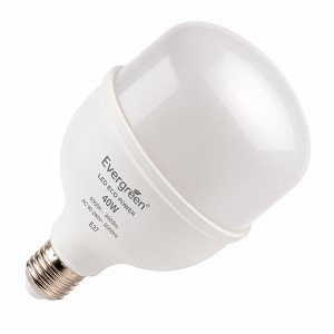 Bombillo Led Eco Power 40W E27