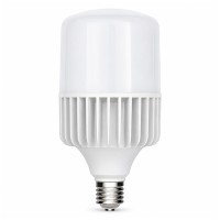 Bombillo Led Eco Power 70W E27